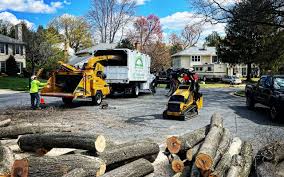 Best Grass Overseeding  in Mission Viejo, CA